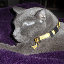 Load image into Gallery viewer, Star Trek TOS Gold Uniform Cat Collar
